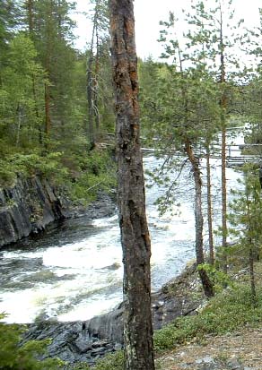 Storforsen, Malå - Norsjö kommun